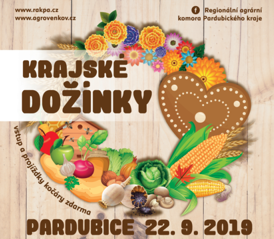 Read more about the article Krajské dožínky v Pardubicích