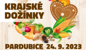 Read more about the article Krajské dožínky