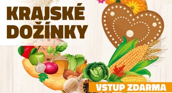 Read more about the article Krajské dožínky